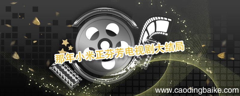 那年小米正芬芳电视剧大结局 那年小米正芬芳大结局剧情