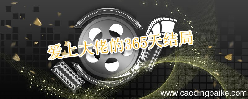 爱上大佬的365天结局 爱上大佬的365天结局是什么