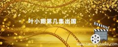 叶小朗第几集出国 乔家的儿女中叶小朗第几集出国