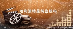哈利波特是纯血统吗 哈利波特是什么血统