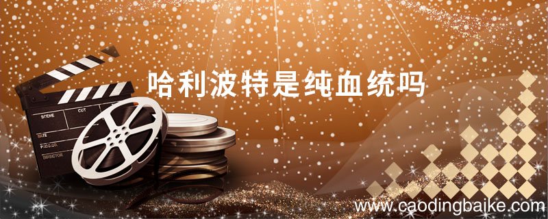 哈利波特是纯血统吗 哈利波特是什么血统