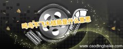 鸣鸟不飞大结局是什么意思 鸣鸟不飞的结局是什么意思