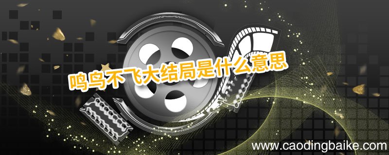 鸣鸟不飞大结局是什么意思 鸣鸟不飞的结局是什么意思