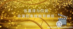 张嘉译与闫妮合演的电视剧有哪些 张嘉译和闫妮合作的电视剧有