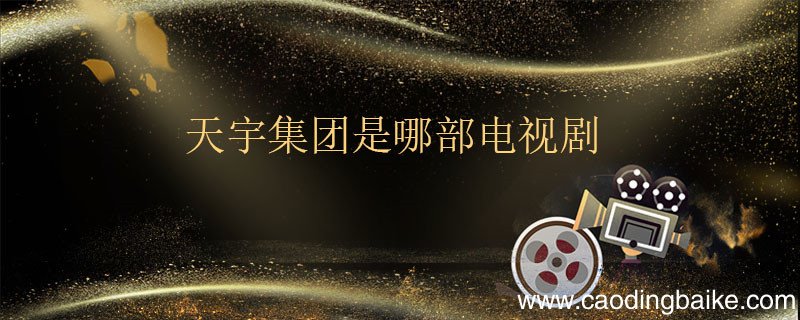 天宇集团是哪部电视剧 天宇集团是出自哪部电视剧