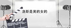 洛斯是男的女的 洛斯和可可里的洛斯是男的女的