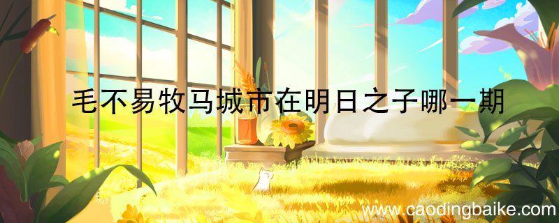 毛不易牧马城市在明日之子哪一期毛不易在《明日之子》第一期的哪一季