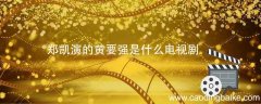 郑凯演的黄要强是什么电视剧 郑恺扮演的黄要强电视剧