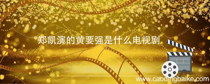 郑凯演的黄要强是什么电视剧 郑恺扮演的黄要强电视剧