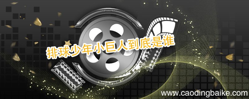 排球少年小巨人到底是谁 排球少年小巨人介绍