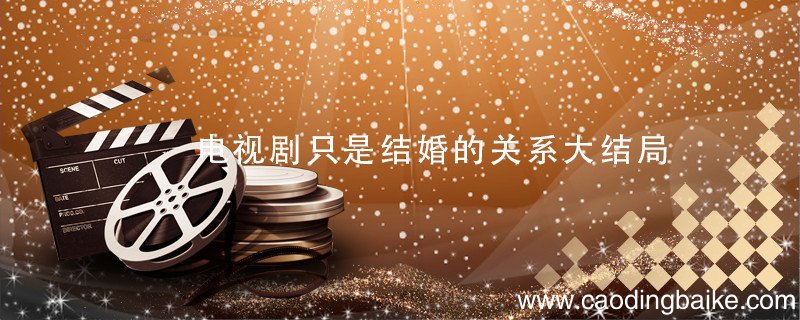 电视剧只是结婚的关系大结局 只是结婚的关系大结局