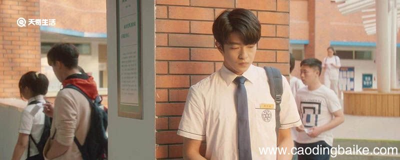 一闪一闪亮星星张万森为什么跳塔 张万森为什么跳塔