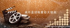 来不及说我爱你大结局 来不及说我爱你大结局剧情