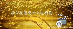 杨夕花彪是什么电视剧 杨夕和花彪是什么电视剧 花彪是什么电