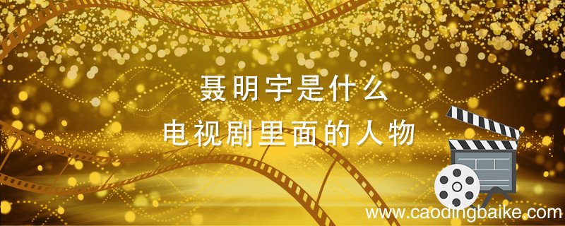 聂明宇是什么电视剧里面的人物 陈道明扮演的聂明宇是什么电视剧