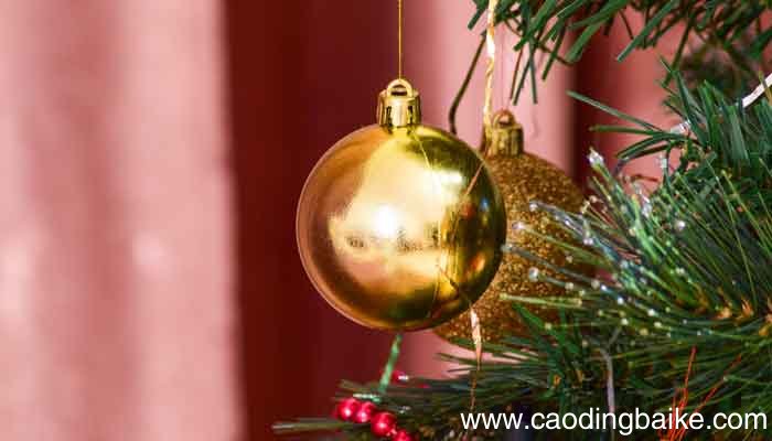 贝吉塔为什么喜欢布玛 贝吉塔对布玛的感情