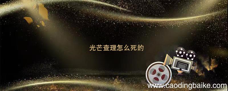 光芒查理怎么死的 电视剧光芒查理怎么死的