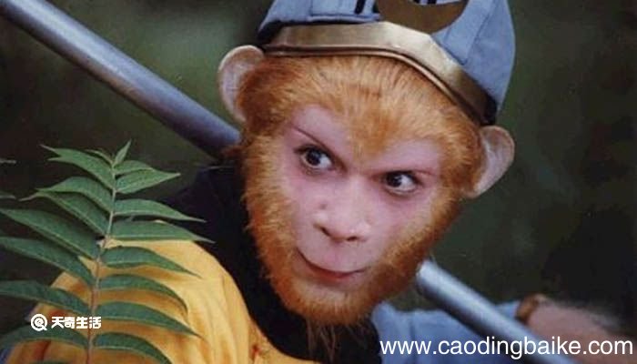 菩提老祖为什么把孙悟空逐出师门 菩提老祖把孙悟空逐出师门原因