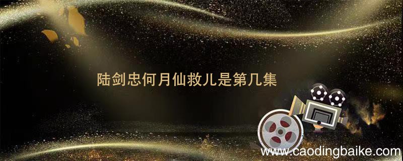 陆剑忠何月仙救儿是第几集 陆剑忠何月仙救儿是哪一集