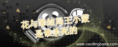 花与罪结局王小蒙是谁杀死的 花与罪结局王小蒙是因为什么死的