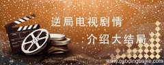 逆局电视剧情介绍大结局 逆局结局是什么