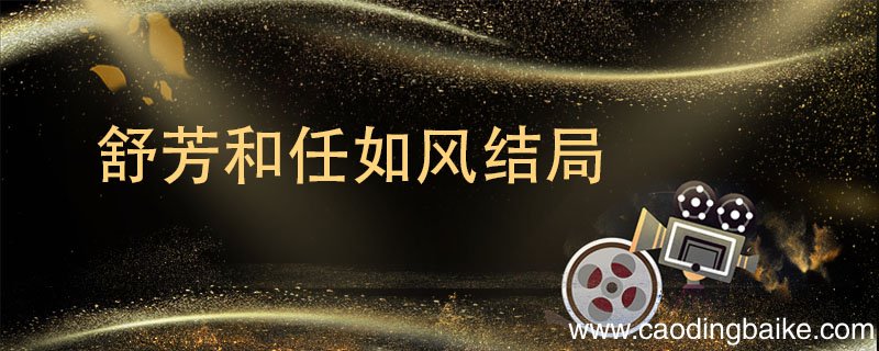 舒芳和任如风结局 当家主母舒芳和任如风结局