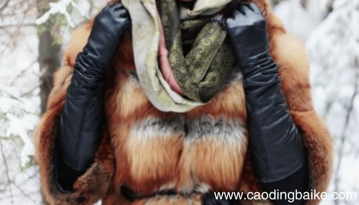 欧貂和水貂的区别欧貂和水貂有什么不同