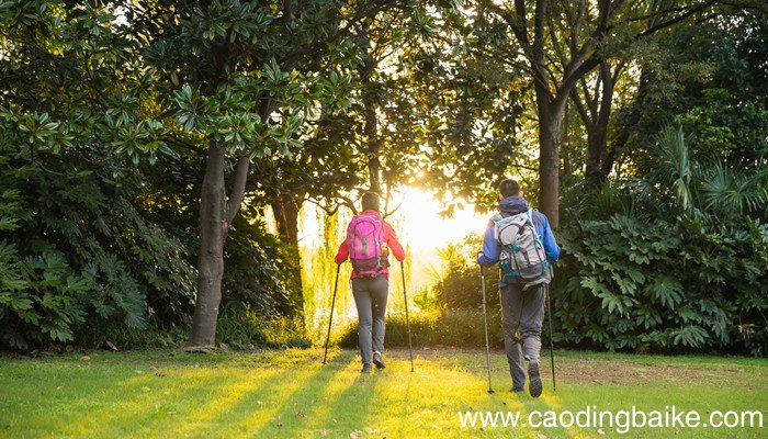 mammut是什么牌子 mammut是什么档次