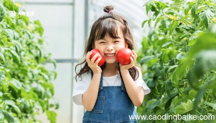 小女孩子的发型扎法 小女孩冬季发型扎法