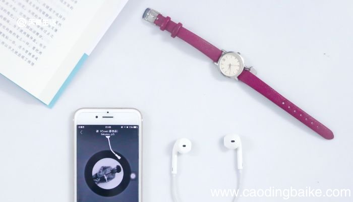 genuine leather是什么牌子 genuine leather手表