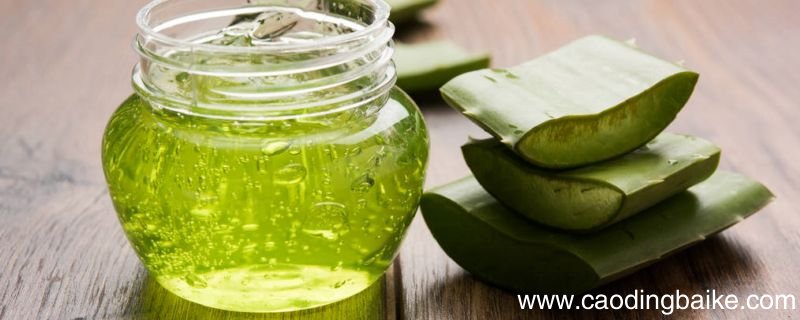 芦荟胶加蜂蜜涂脸有什么效果芦荟胶加蜂蜜涂脸的作用有哪些