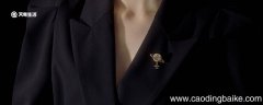 送胸针代表什么意思 送胸针代表的意思