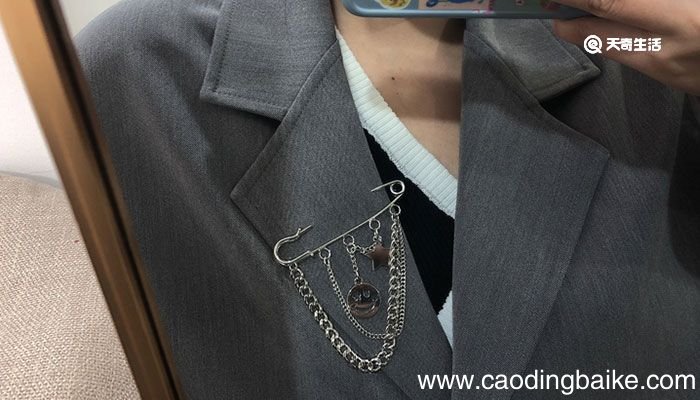 送胸针代表什么意思 送胸针代表的意思