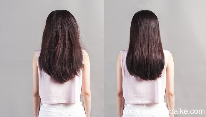 润发乳是洗发水吗 润发乳和洗发水一样吗