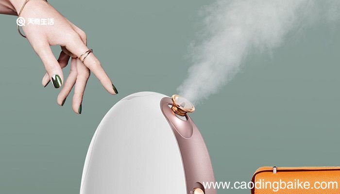 蒸脸时水里放一滴白醋可以吗 蒸脸时水里可以放一滴白醋吗