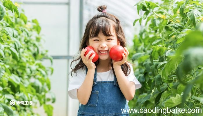 如何扎头发 自己绑头发的简单方法