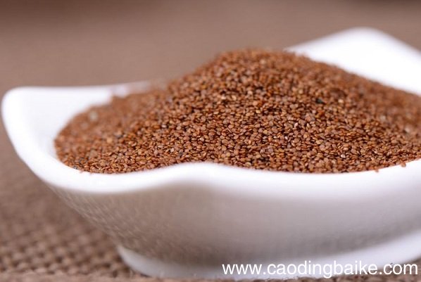 自制牛奶海藻面膜 牛奶海藻面膜的制作方法