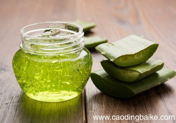 芦荟胶是否可以去鸡皮肤改善鸡皮肤的方法