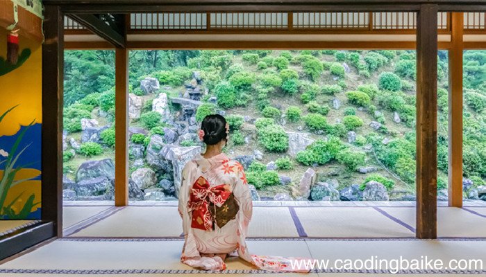 正绢布料是什么 什么是正绢布料