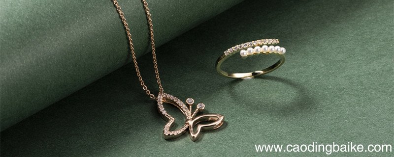 黑天鹅项链有什么寓意 黑天鹅项链是什么寓意