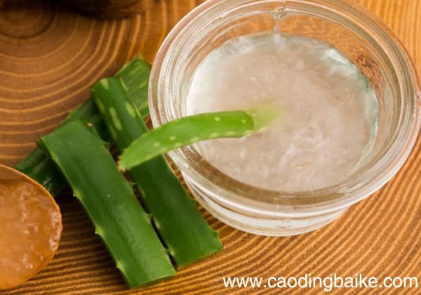 芦荟胶会越用越黑吗 敷芦荟胶多久合适