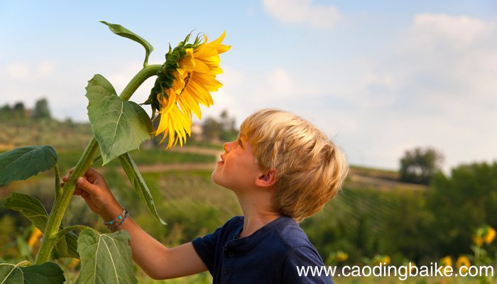 染黑发会褪色变黄吗 黄发染了黑发会褪色吗