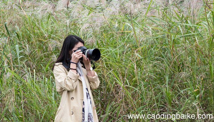 骆驼绒大衣和羊绒大衣的区别 骆驼绒和羊毛大衣区别