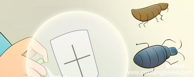 螨虫用肉眼可以看得见吗螨虫用肉眼能不能看见