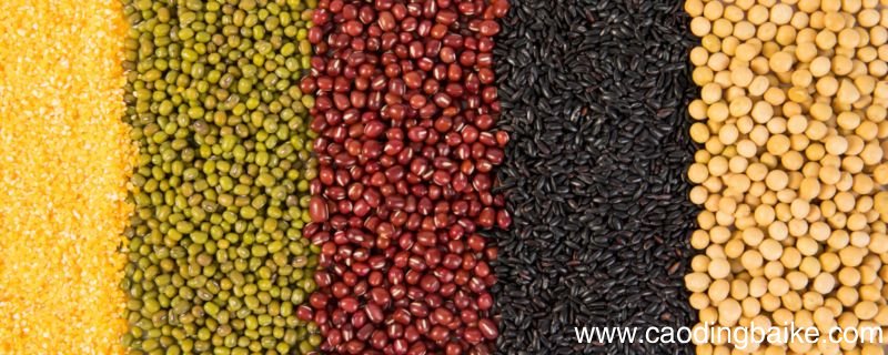 掉头发应该如何补充营养 掉头发补充营养的方法