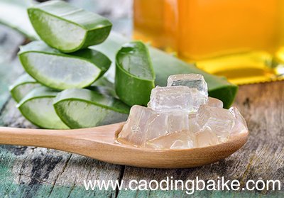 痘痘破了可以用芦荟胶吗 痘痘破了能不能使用芦荟胶