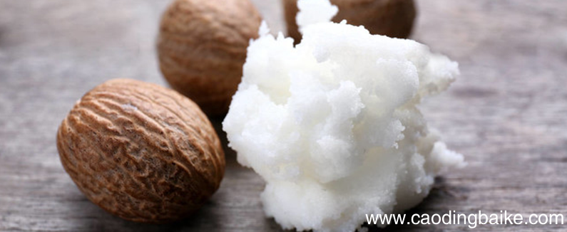 乳木果油擦脸的功效 乳木果油擦脸有什么用