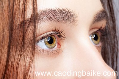 眉毛上长痘是什么原因 眉毛上长痘是怎么回事