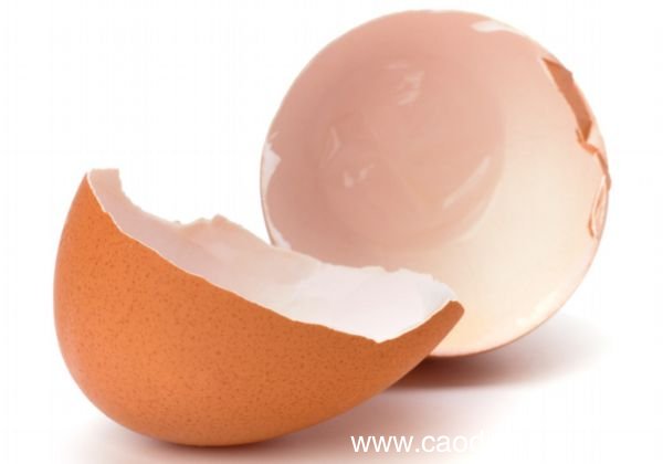 祛除黑头的常见方法 祛黑头的简单小妙招