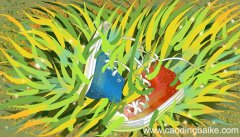 37码三分之一什么意思 37码三分之一的意思